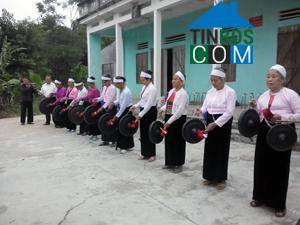 Hình ảnh Tân Hòa, Phú Thọ