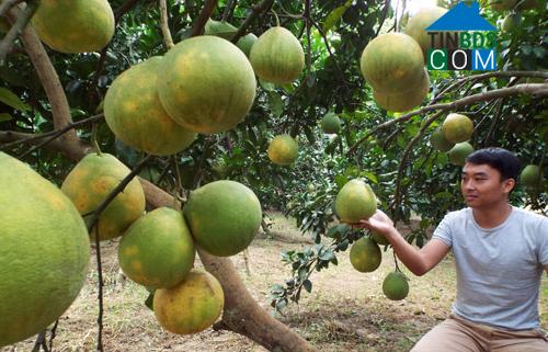 Hình ảnh Tân Lạc, Phú Thọ