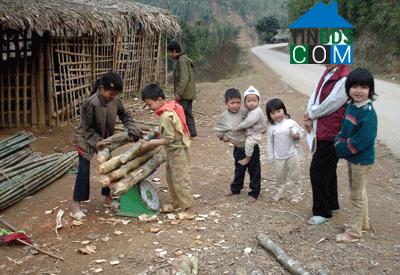 Hình ảnh Tân Pheo, Phú Thọ