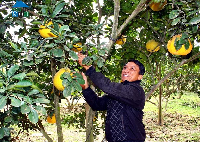 Hình ảnh Phúc Yên, Phú Thọ