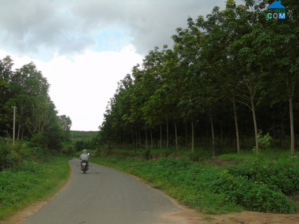 Hình ảnh Ya Ly, Quảng Ngãi