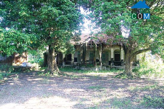 Hình ảnh An Phú, Quảng Ngãi