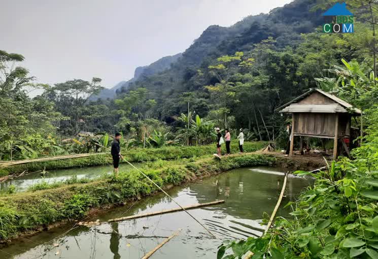 Hình ảnh Toàn Thắng, Phú Thọ