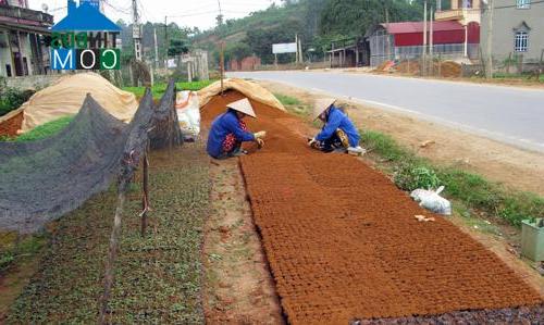 Hình ảnh Trạm Thản, Phú Thọ