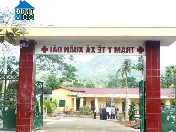 Hình ảnh Xuân Đài, Phú Thọ