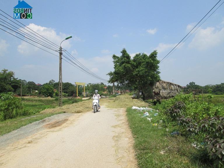 Hình ảnh Xuân Hòa, Phú Thọ