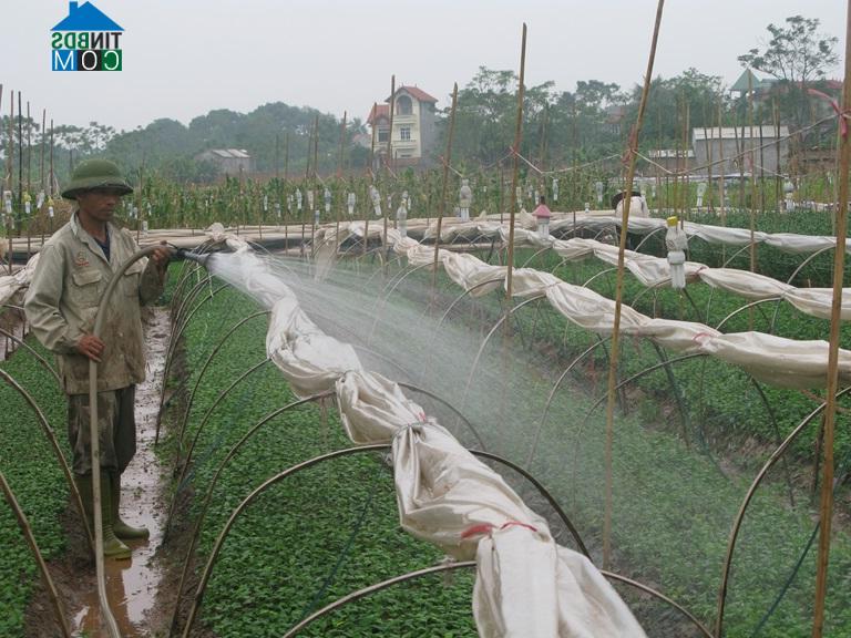 Hình ảnh Xuân Lãng, Phú Thọ