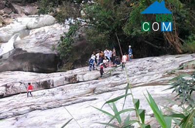 Hình ảnh Đông Trà Bồng, Quảng Ngãi