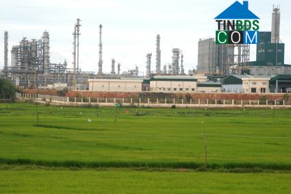 Hình ảnh Vạn Tường, Quảng Ngãi