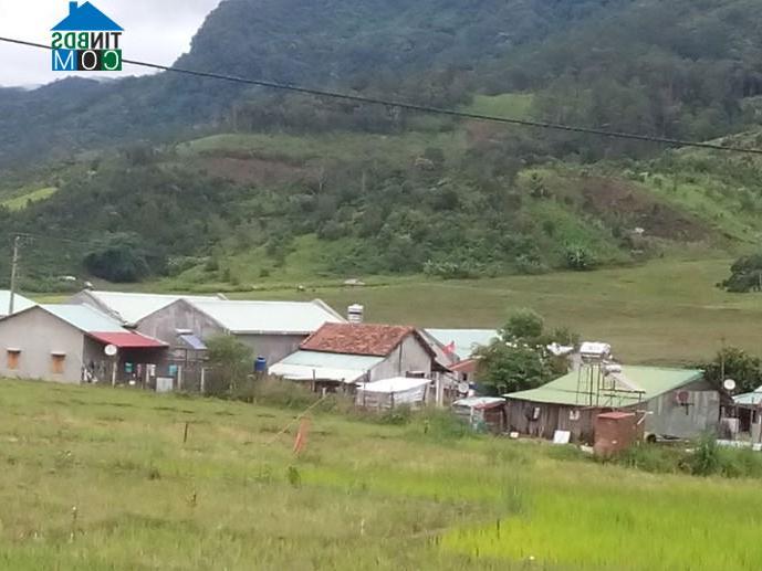 Hình ảnh Xốp, Quảng Ngãi