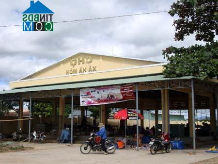 Hình ảnh Đăk Hà, Quảng Ngãi