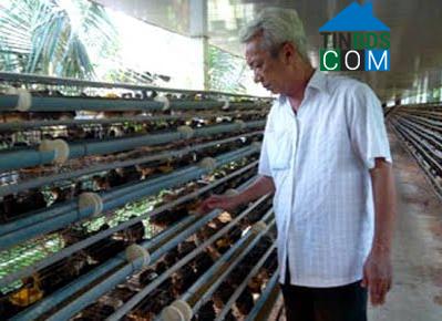 Hình ảnh Châu Thành, Đồng Tháp