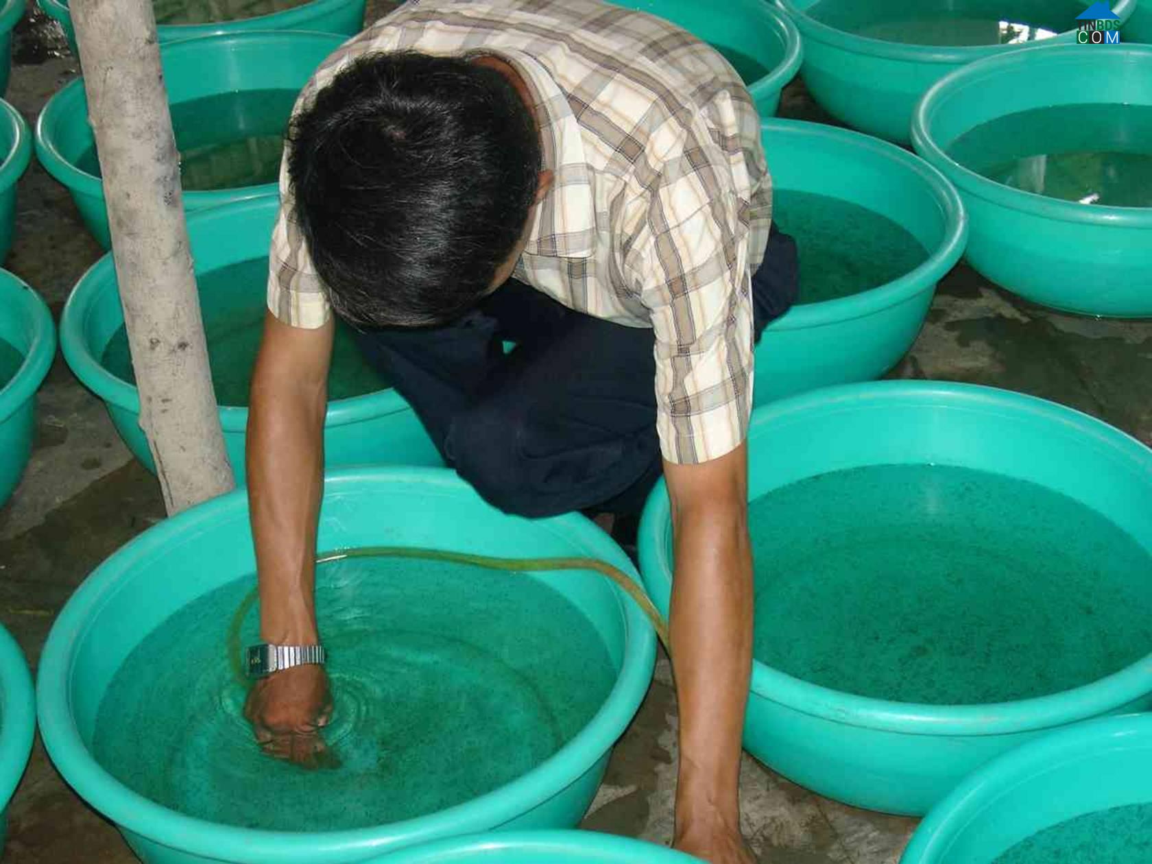 Hình ảnh Long Định, Đồng Tháp