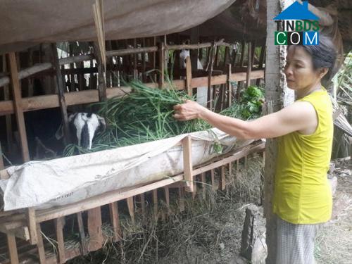 Hình ảnh Đồng Sơn, Đồng Tháp