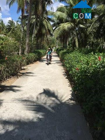 Hình ảnh An Thạnh Thủy, Đồng Tháp