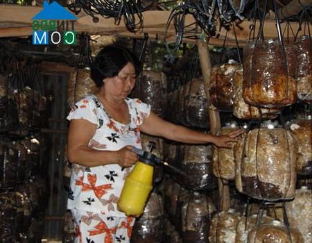 Hình ảnh Tân Long, Đồng Tháp