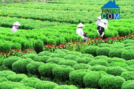 Hình ảnh Mỹ Phong, Đồng Tháp