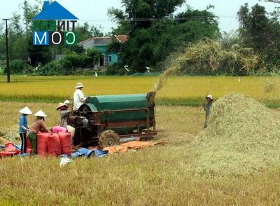 Hình ảnh An Nhơn Bắc, Gia Lai