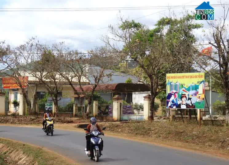 Hình ảnh Biển Hồ, Gia Lai