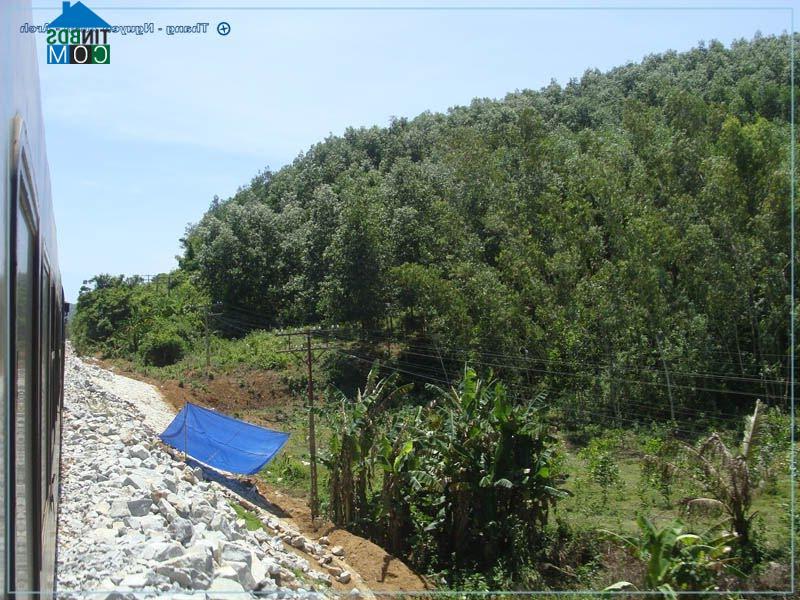 Hình ảnh Bình Dương, Gia Lai