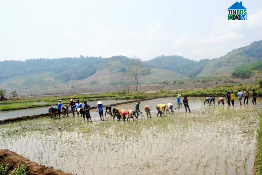 Hình ảnh Kbang, Gia Lai