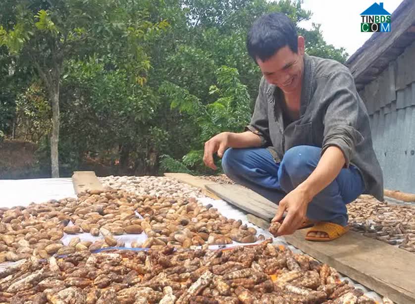 Hình ảnh Ia Ly, Gia Lai