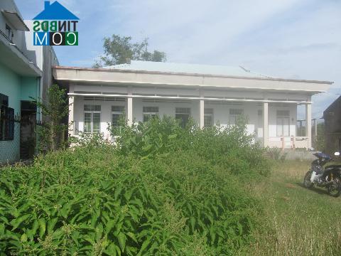 Hình ảnh Ngô Mây, Gia Lai