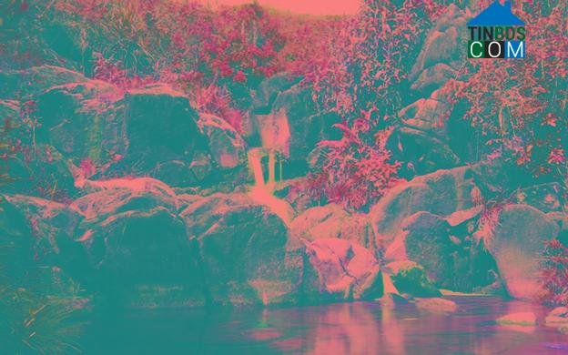 Hình ảnh Quy Nhơn Tây, Gia Lai