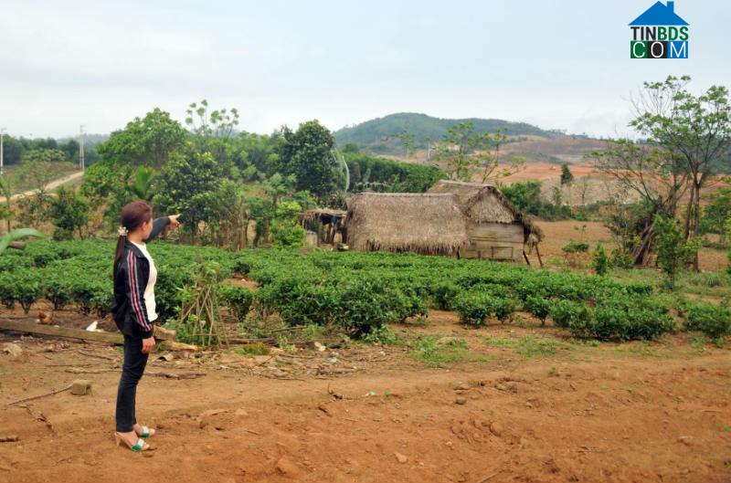 Hình ảnh Kỳ Thượng, Hà Tĩnh