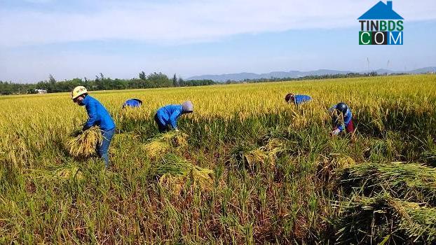 Hình ảnh Cẩm Xuyên, Hà Tĩnh