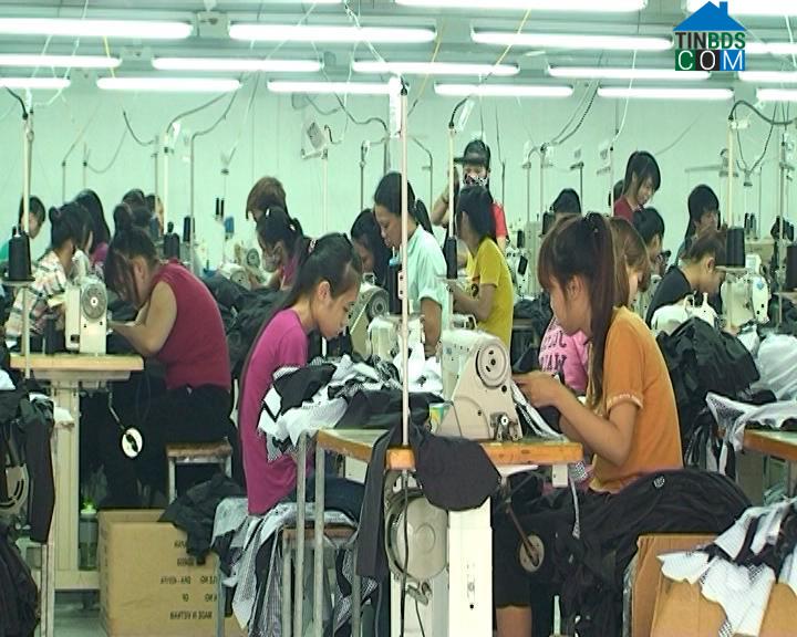 Hình ảnh Bắc Đông Hưng, Hưng Yên