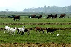 Hình ảnh Sơn Tiến, Hà Tĩnh