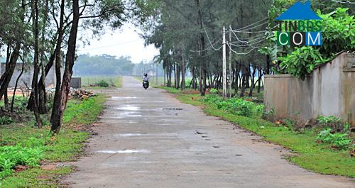 Hình ảnh Thạch Hà, Hà Tĩnh