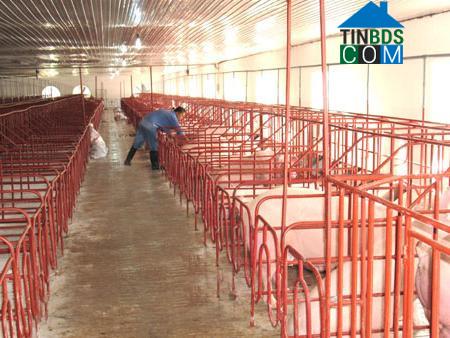 Hình ảnh Đồng Châu, Hưng Yên