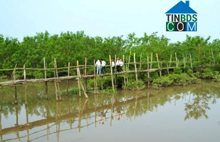 Hình ảnh Đông Thái Ninh, Hưng Yên