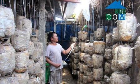 Hình ảnh Nam Thụy Anh, Hưng Yên