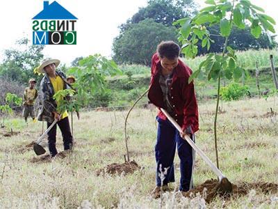 Hình ảnh Bác Ái Đông, Khánh Hòa