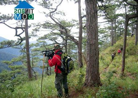 Hình ảnh Bác Ái Tây, Khánh Hòa