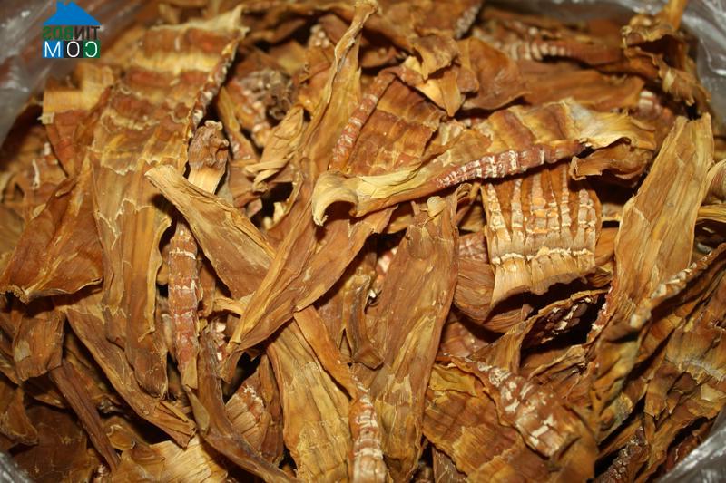 Hình ảnh Bắc Khánh Vĩnh, Khánh Hòa