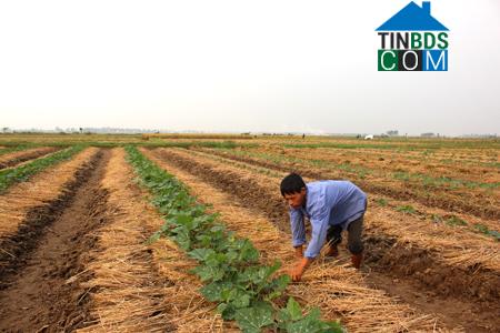 Hình ảnh Thần Khê, Hưng Yên