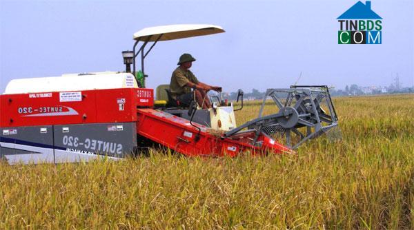 Hình ảnh Tiên Hưng, Hưng Yên