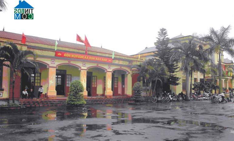 Hình ảnh Tống Trân, Hưng Yên