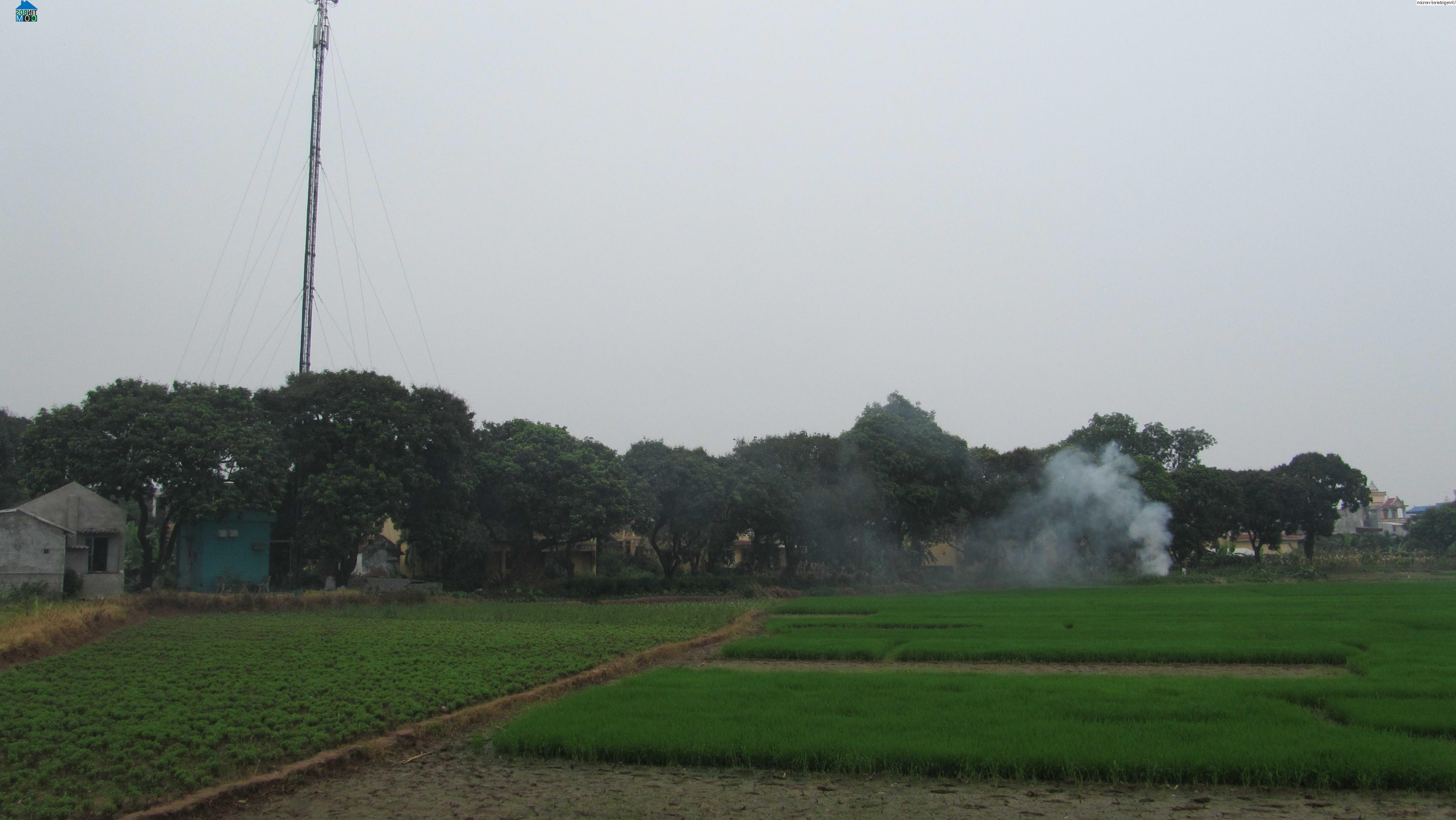 Hình ảnh Triệu Việt Vương, Hưng Yên