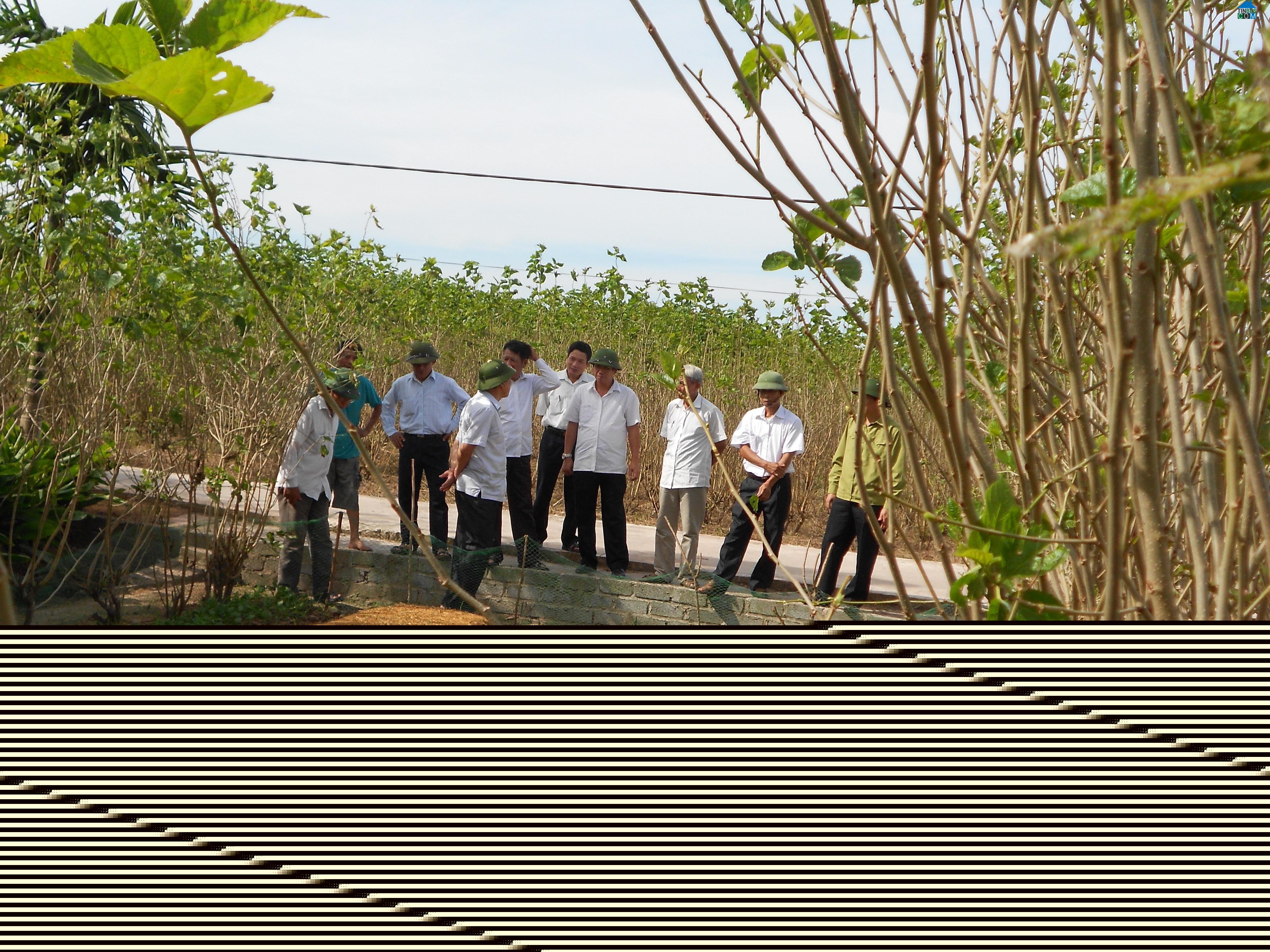 Hình ảnh Vũ Tiên, Hưng Yên