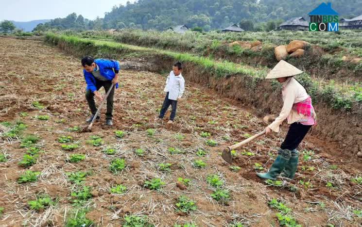 Hình ảnh Mường Kim, Lai Châu