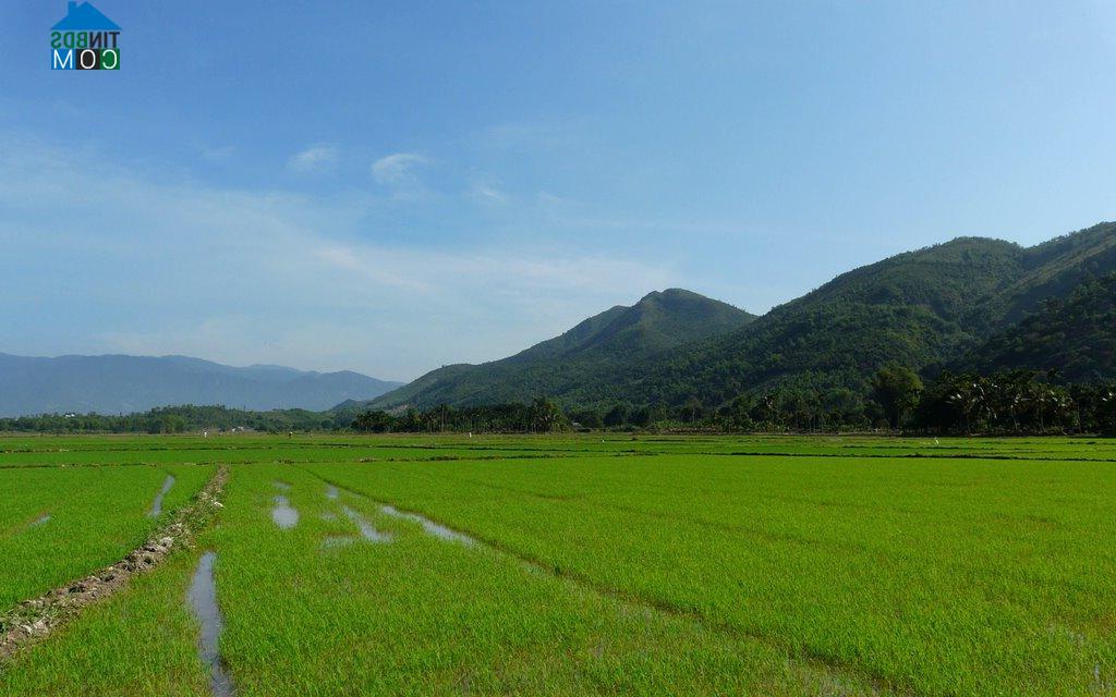 Hình ảnh Suối Hiệp, Khánh Hòa