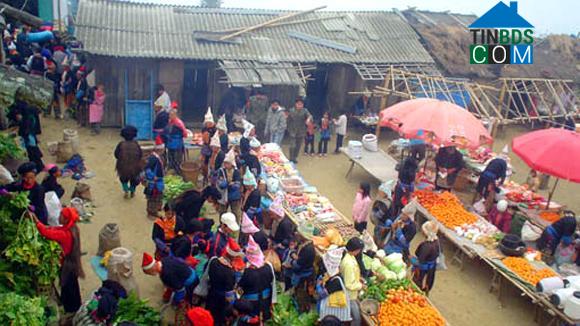 Hình ảnh Dào San, Lai Châu