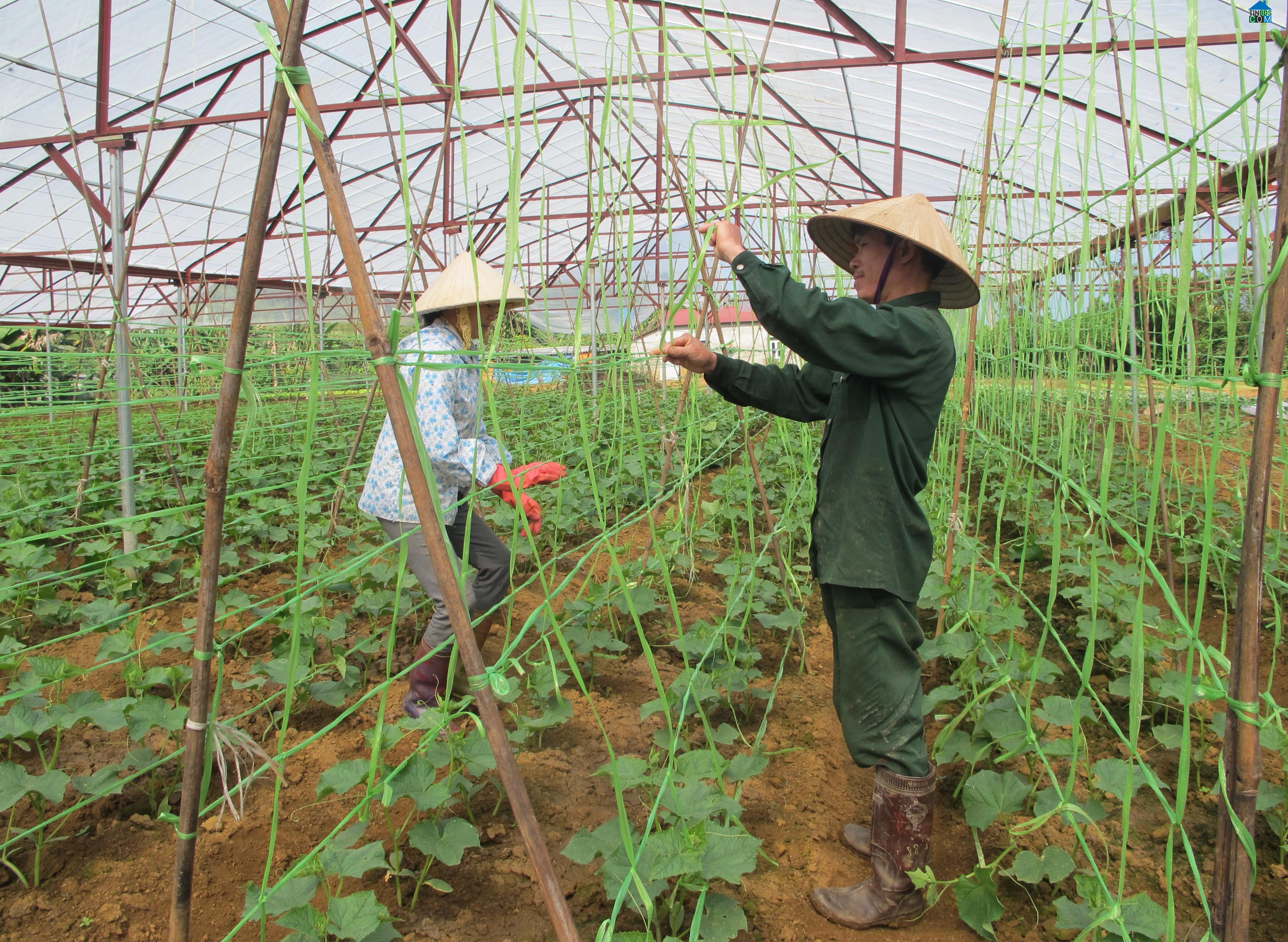 Hình ảnh Đoàn Kết, Lai Châu
