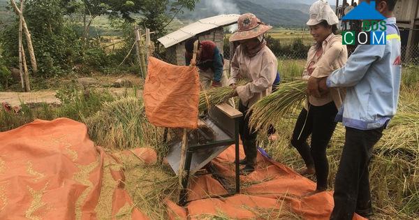 Hình ảnh Pu Sam Cáp, Lai Châu