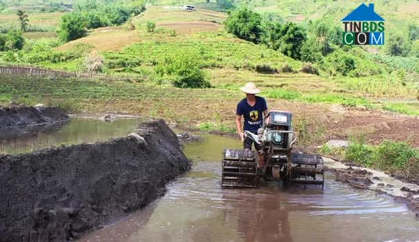 Hình ảnh Tả Lèng, Lai Châu